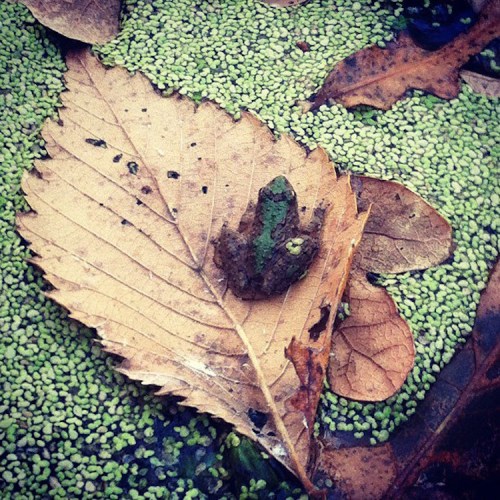 ©2012, Chase Sackett