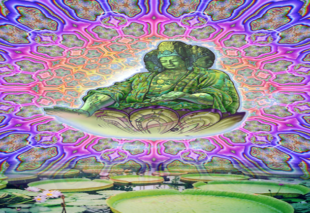 Buddhism and Psychedelic&nbsp;Methods