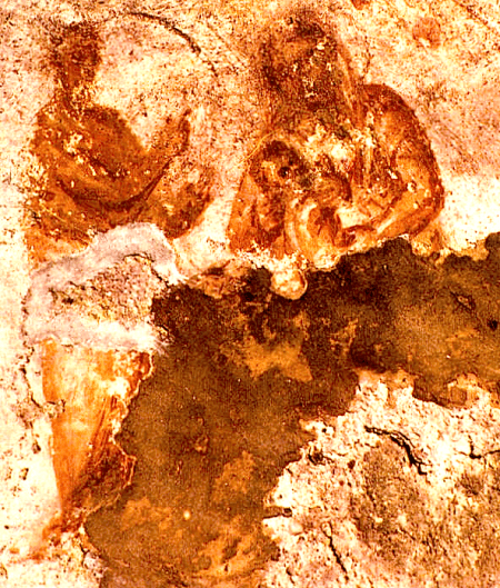 Depiction of the Virgin Mary nursing the Infant  Jesus. Wall painting in the Catacomb of Priscilla, Rome. This is earliest known image of Madonna & Child, and it testifies to the antiquity of Marian devotion.