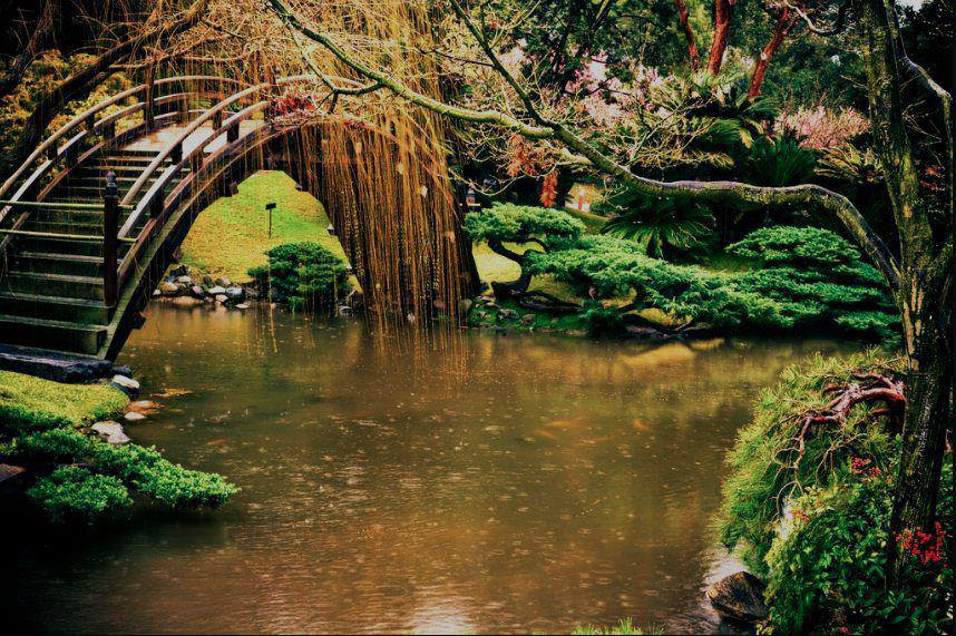 Listening to the&nbsp;rain