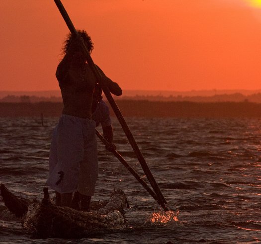 Looking for “Adams” and “Eves”