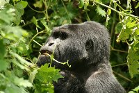 458549924_e6e6ad5fde.jpg image