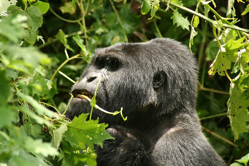 Spellbinding experiences