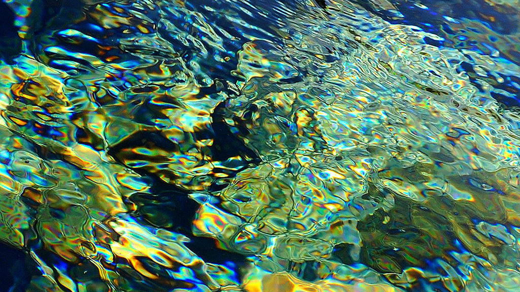 The Matter of&nbsp;Mind