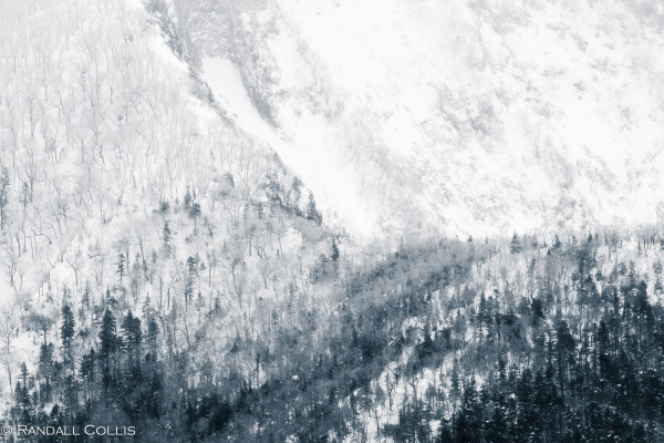 Japanese Alps ~ Nagano