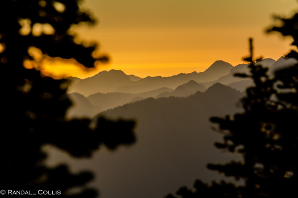 Mt. Ellinor and Skokomish Mountain Goats-2