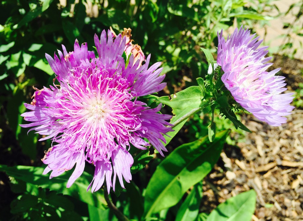 Hacking Education Begins with Good Habits and Practical&nbsp;Knowledge