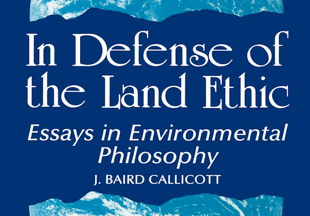 Callicott to receive life-time achievement&nbsp;award